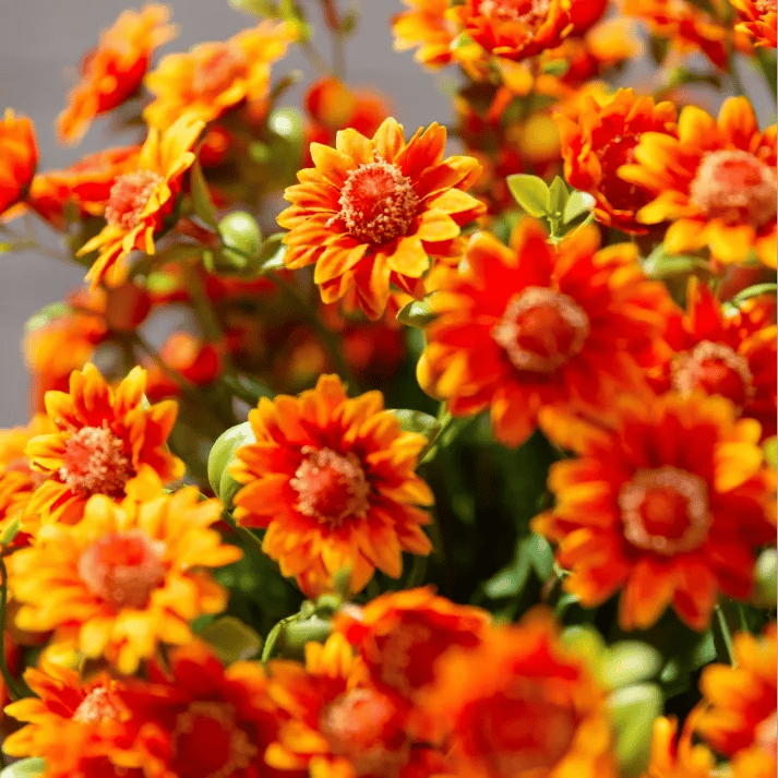đ„Viimeinen pĂ€ivĂ€! Vain 4⏠kappale â Tekokukat ulkokĂ€yttöön "Sunset Mums" â UV-sĂ€teilyn, veden ja tuulen kestĂ€vĂ€t