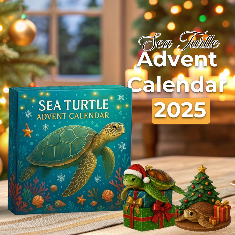 🌊🐢 Merikilpikonnien joulukalenteri 2025