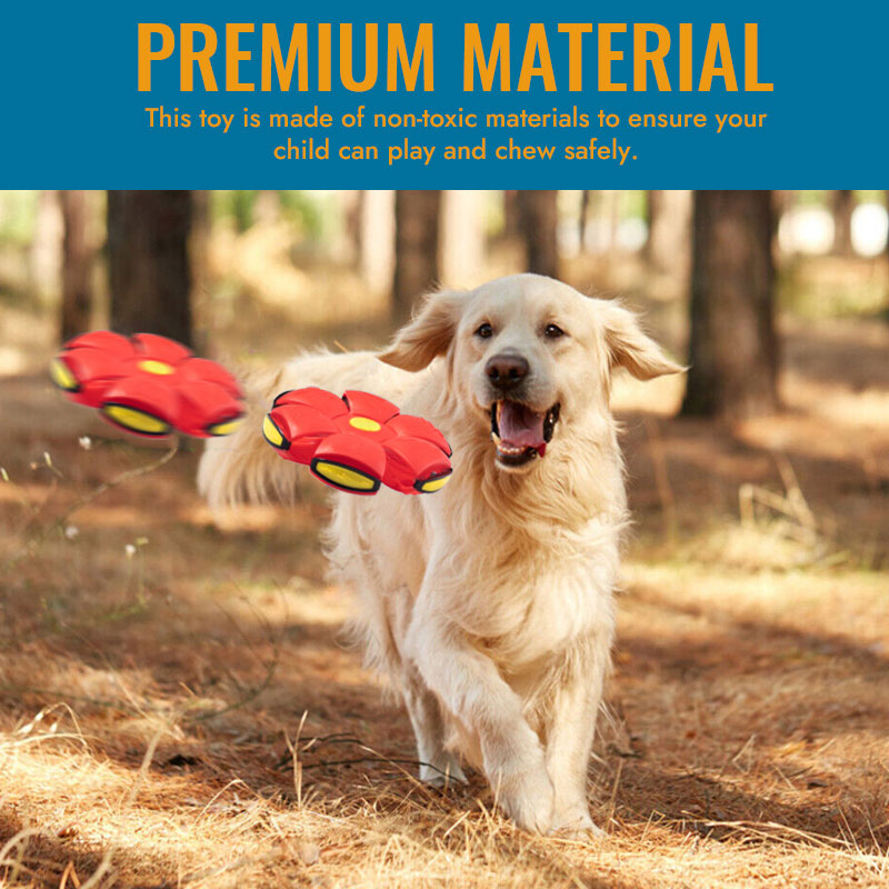 🐾Lemmikkieläinten lelu Flying Saucer Ball