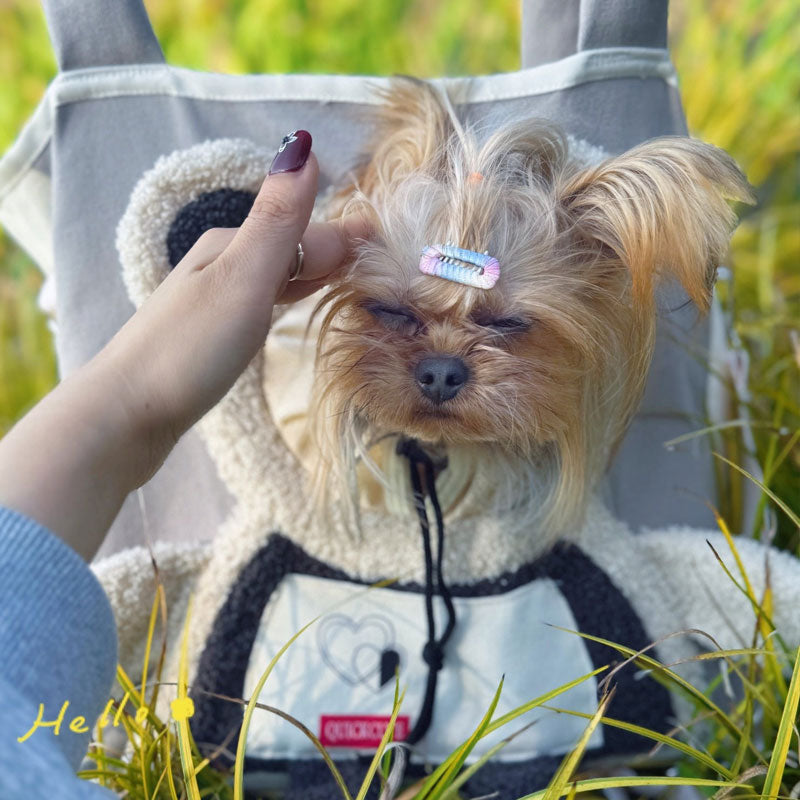 Lemmikkieläinten matkakassi